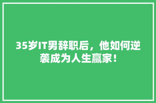 35岁IT男辞职后，他如何逆袭成为人生赢家！ 神马SEO