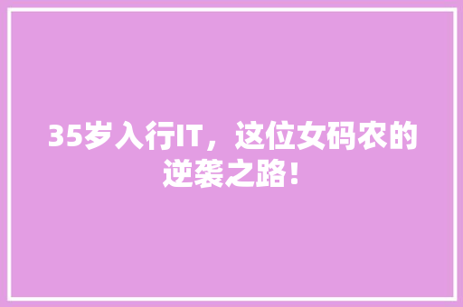 35岁入行IT，这位女码农的逆袭之路！ 必应SEO