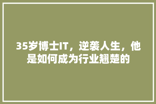 35岁博士IT，逆袭人生，他是如何成为行业翘楚的 必应SEO