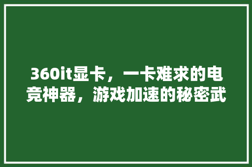 360it显卡，一卡难求的电竞神器，游戏加速的秘密武器！ 神马SEO
