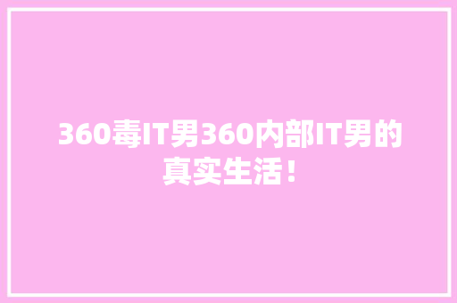 360毒IT男360内部IT男的真实生活！ 百度SEO