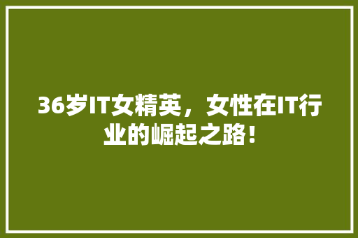 36岁IT女精英，女性在IT行业的崛起之路！ 必应SEO