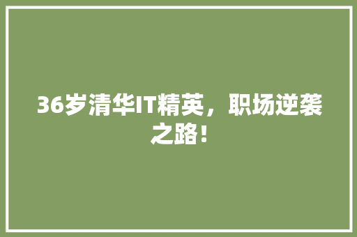 36岁清华IT精英，职场逆袭之路！ 神马SEO