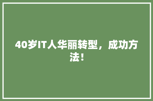 40岁IT人华丽转型，成功方法！ 搜狗SEO