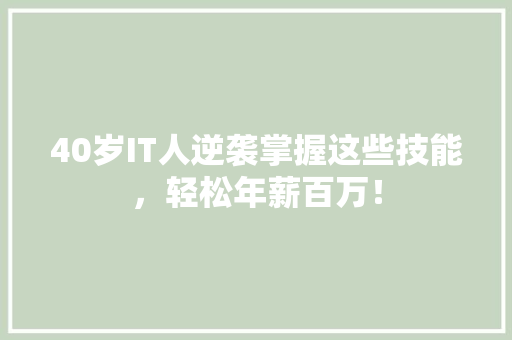 40岁IT人逆袭掌握这些技能，轻松年薪百万！ 神马SEO