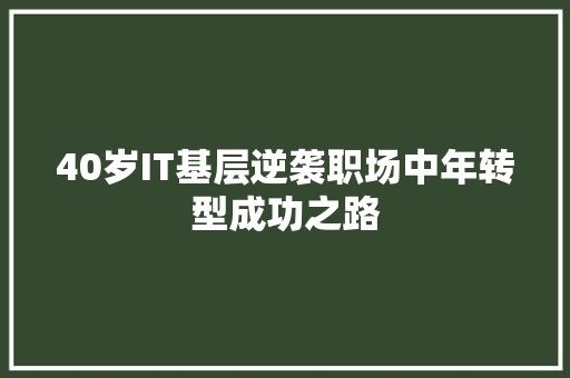 40岁IT基层逆袭职场中年转型成功之路 必应SEO