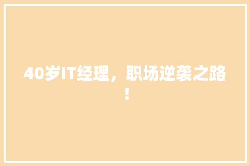 40岁IT经理，职场逆袭之路！ 搜狗SEO