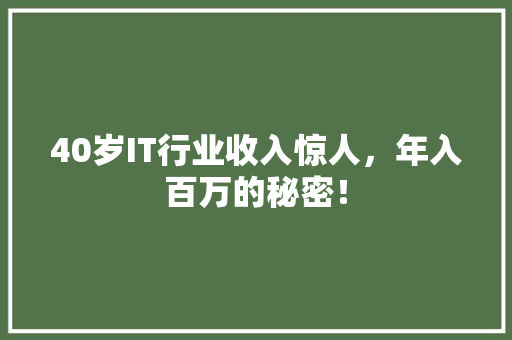 40岁IT行业收入惊人，年入百万的秘密！ 必应SEO