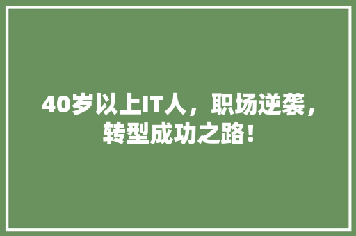 40岁以上IT人，职场逆袭，转型成功之路！ 神马SEO