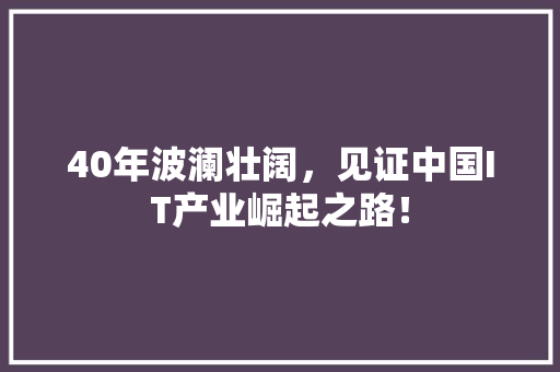 40年波澜壮阔，见证中国IT产业崛起之路！ 必应SEO