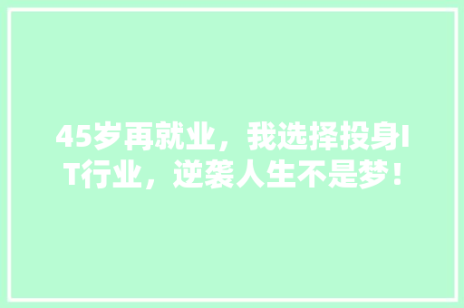45岁再就业，我选择投身IT行业，逆袭人生不是梦！ GoogleSEO