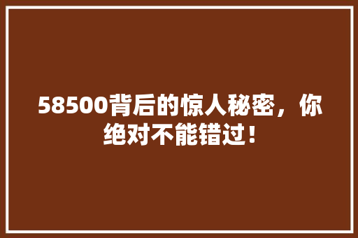 58500背后的惊人秘密，你绝对不能错过！