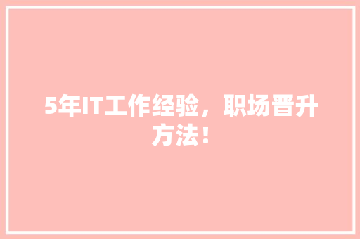 5年IT工作经验，职场晋升方法！ 必应SEO