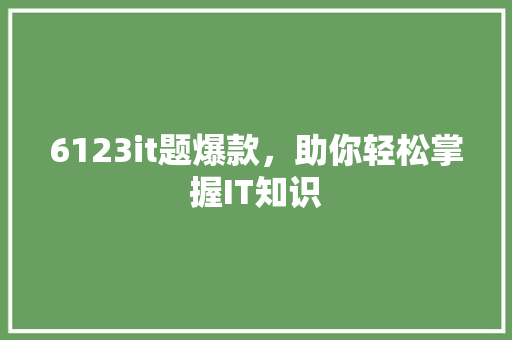 6123it题爆款，助你轻松掌握IT知识 必应SEO