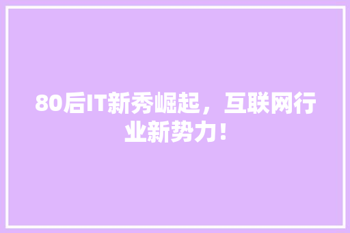 80后IT新秀崛起，互联网行业新势力！ 必应SEO