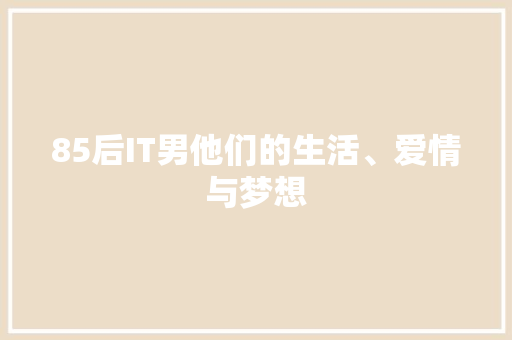85后IT男他们的生活、爱情与梦想 必应SEO