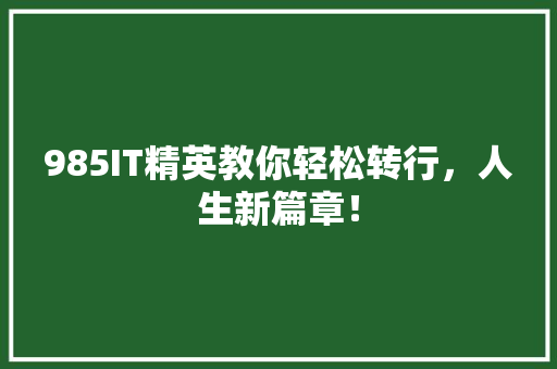 985IT精英教你轻松转行，人生新篇章！ 搜狗SEO
