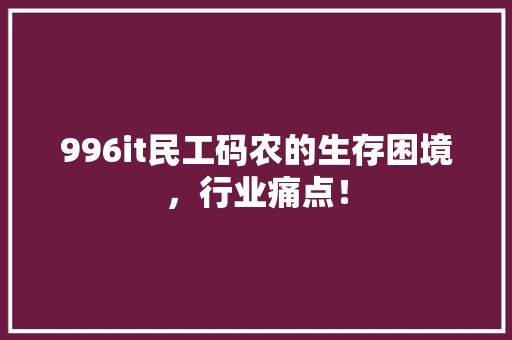 996it民工码农的生存困境，行业痛点！ 神马SEO