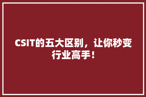 CSIT的五大区别，让你秒变行业高手！ 搜狗SEO
