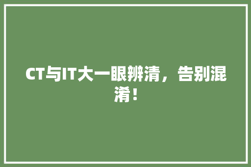 CT与IT大一眼辨清，告别混淆！ 百度SEO