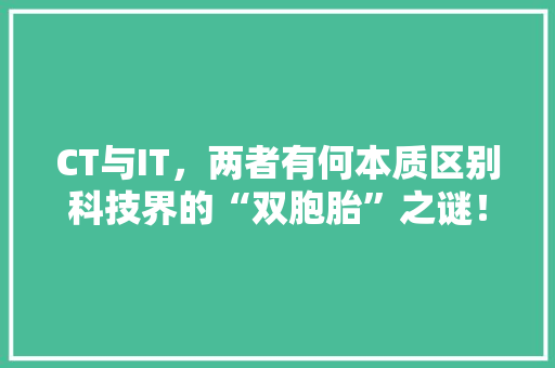 CT与IT，两者有何本质区别科技界的“双胞胎”之谜！ GoogleSEO