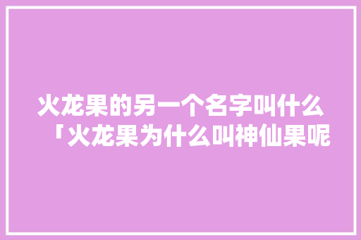 火龙果的另一个名字叫什么「火龙果为什么叫神仙果呢」 火龙果的另一个名字叫什么「火龙果为什么叫神仙果呢」 GoogleSEO