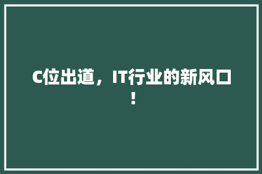 C位出道，IT行业的新风口！ 必应SEO