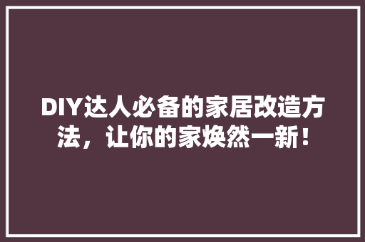 DIY达人必备的家居改造方法，让你的家焕然一新！ 必应SEO