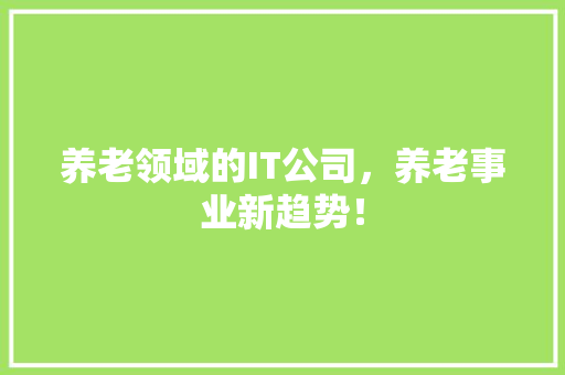 养老领域的IT公司，养老事业新趋势！ 必应SEO