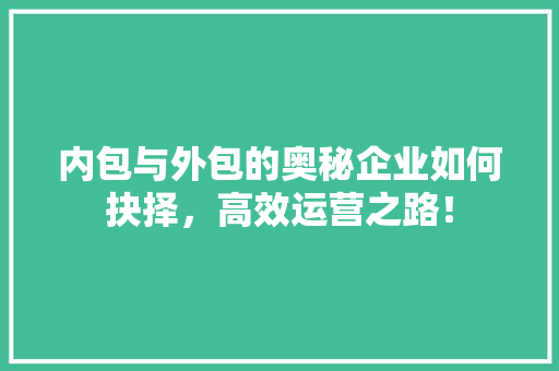 内包与外包的奥秘企业如何抉择，高效运营之路！ 神马SEO