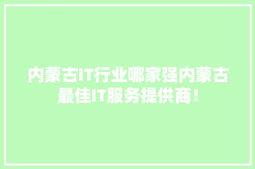 内蒙古IT行业哪家强内蒙古最佳IT服务提供商！ 神马SEO