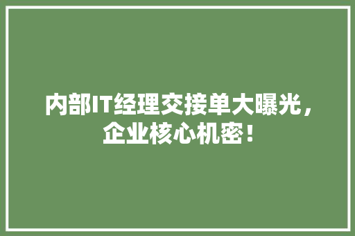 内部IT经理交接单大曝光，企业核心机密！ 必应SEO