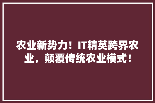 农业新势力！IT精英跨界农业，颠覆传统农业模式！ 百度SEO