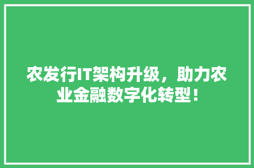 农发行IT架构升级，助力农业金融数字化转型！ 必应SEO