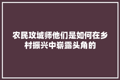 农民攻城师他们是如何在乡村振兴中崭露头角的 GoogleSEO