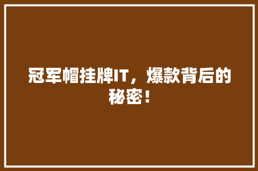 冠军帽挂牌IT，爆款背后的秘密！ 百度SEO