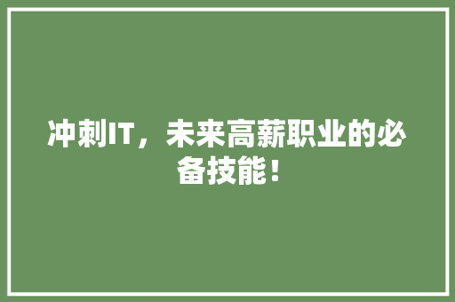 冲刺IT，未来高薪职业的必备技能！ GoogleSEO