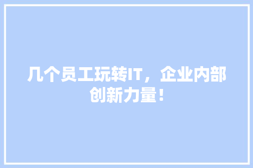 几个员工玩转IT，企业内部创新力量！ 搜狗SEO