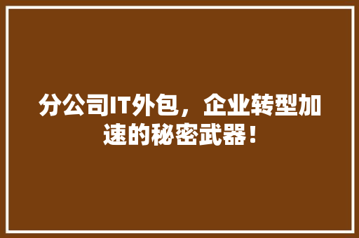 分公司IT外包，企业转型加速的秘密武器！ 搜狗SEO