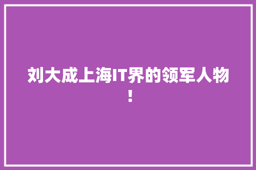 刘大成上海IT界的领军人物！