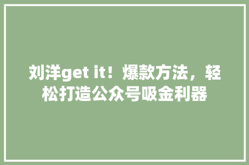 刘洋get it！爆款方法，轻松打造公众号吸金利器 GoogleSEO