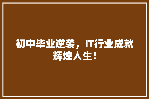 初中毕业逆袭，IT行业成就辉煌人生！ 神马SEO