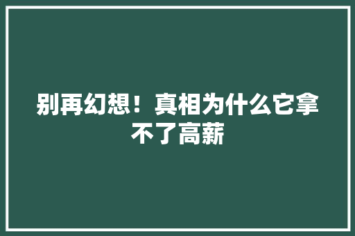 别再幻想！真相为什么它拿不了高薪 百度SEO