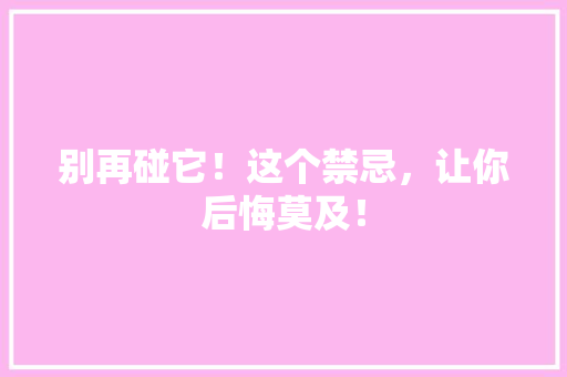 别再碰它！这个禁忌，让你后悔莫及！ 神马SEO