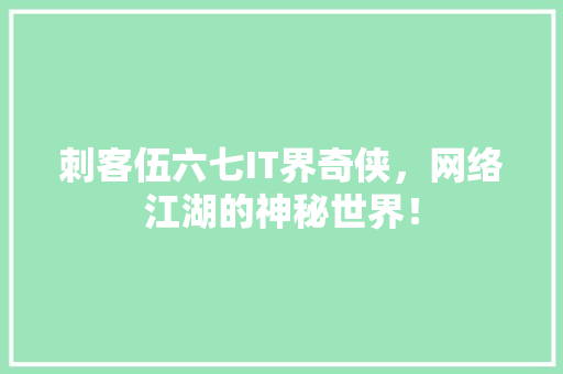 刺客伍六七IT界奇侠，网络江湖的神秘世界！ 百度SEO