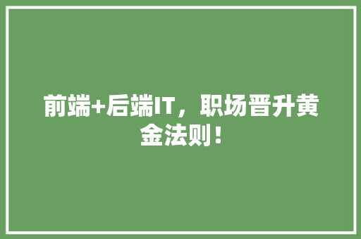 前端+后端IT，职场晋升黄金法则！ GoogleSEO