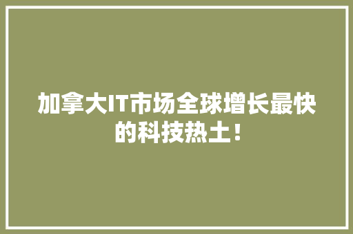 加拿大IT市场全球增长最快的科技热土！ 必应SEO