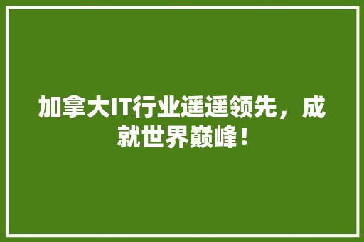 加拿大IT行业遥遥领先，成就世界巅峰！ 神马SEO