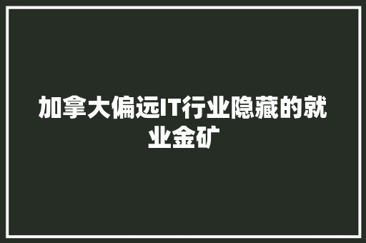 加拿大偏远IT行业隐藏的就业金矿 必应SEO