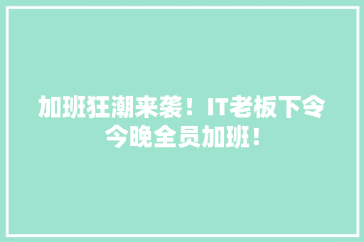 加班狂潮来袭！IT老板下令今晚全员加班！ 必应SEO